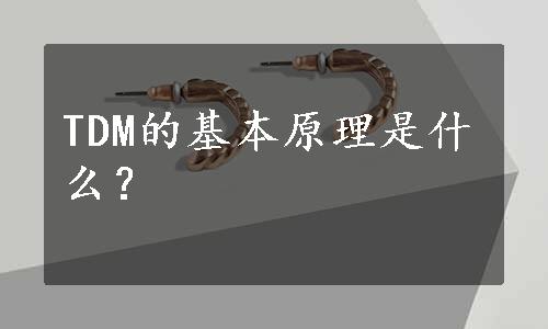 TDM的基本原理是什么？