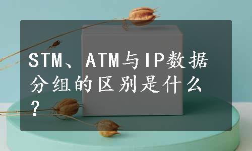 STM、ATM与IP数据分组的区别是什么？