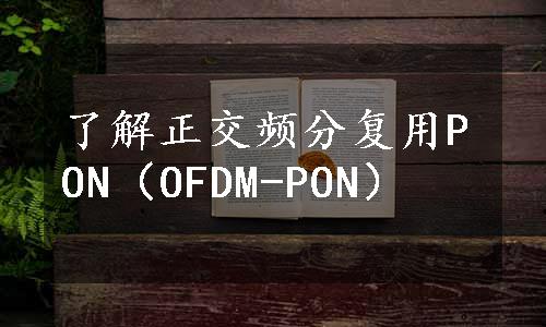 了解正交频分复用PON（OFDM-PON）