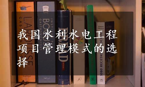 我国水利水电工程项目管理模式的选择