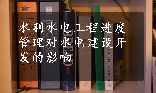 水利水电工程进度管理对水电建设开发的影响