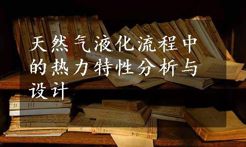 天然气液化流程中的热力特性分析与设计