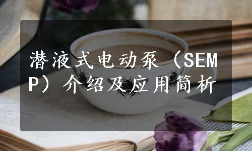 潜液式电动泵（SEMP）介绍及应用简析