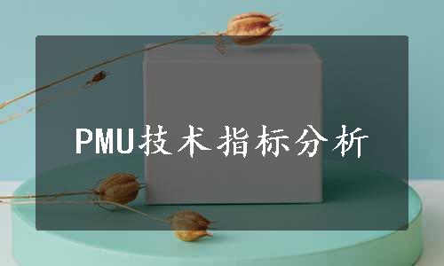 PMU技术指标分析