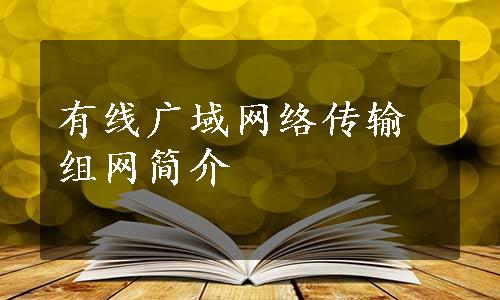 有线广域网络传输组网简介