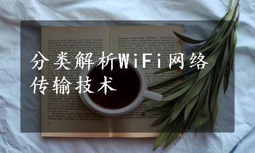 分类解析WiFi网络传输技术