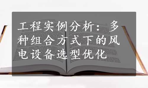 工程实例分析：多种组合方式下的风电设备选型优化