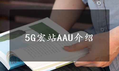 5G宏站AAU介绍