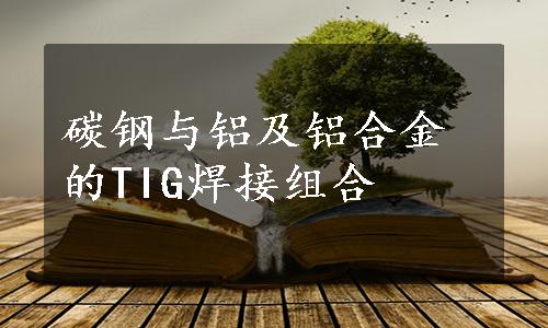 碳钢与铝及铝合金的TIG焊接组合