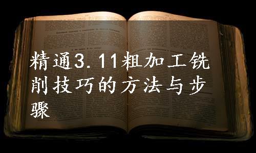 精通3.11粗加工铣削技巧的方法与步骤