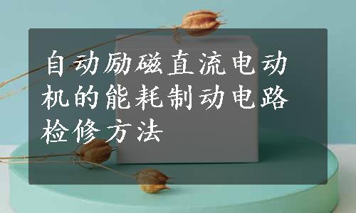 自动励磁直流电动机的能耗制动电路检修方法