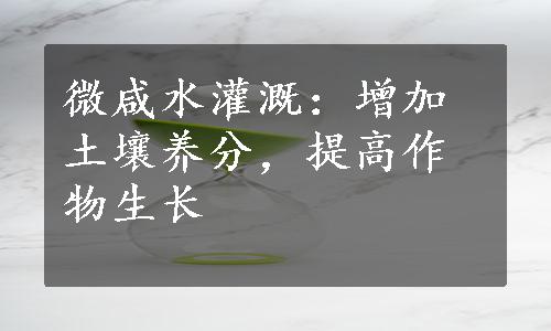 微咸水灌溉：增加土壤养分，提高作物生长