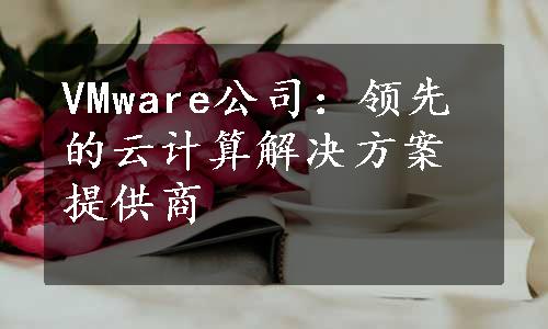 VMware公司：领先的云计算解决方案提供商