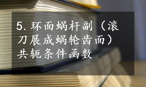 5.环面蜗杆副（滚刀展成蜗轮齿面）共轭条件函数