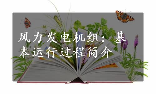 风力发电机组：基本运行过程简介