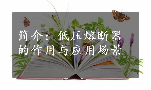 简介：低压熔断器的作用与应用场景