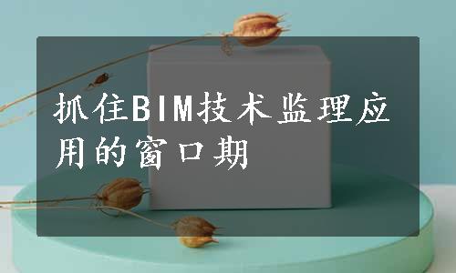 抓住BIM技术监理应用的窗口期