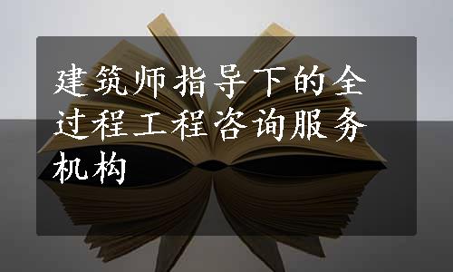 建筑师指导下的全过程工程咨询服务机构