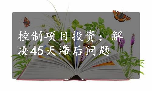 控制项目投资：解决45天滞后问题