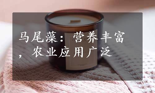 马尾藻：营养丰富，农业应用广泛