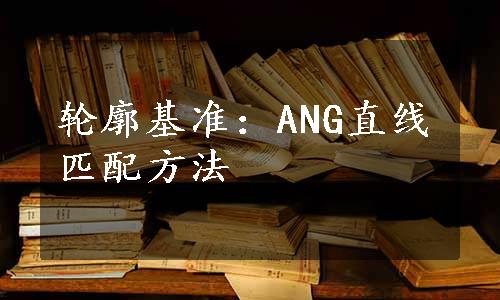 轮廓基准：ANG直线匹配方法