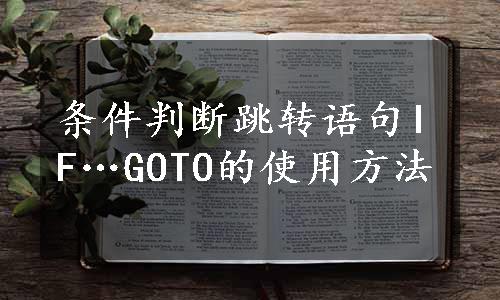 条件判断跳转语句IF…GOTO的使用方法