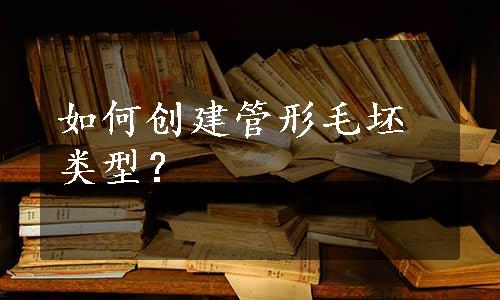 如何创建管形毛坯类型？