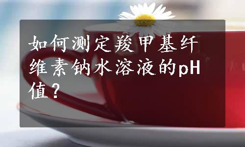 如何测定羧甲基纤维素钠水溶液的pH值？