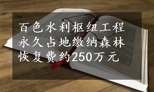 百色水利枢纽工程永久占地缴纳森林恢复费约250万元