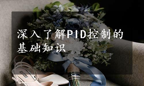 深入了解PID控制的基础知识