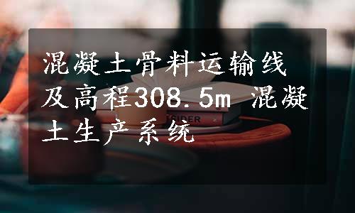 混凝土骨料运输线及高程308.5m 混凝土生产系统