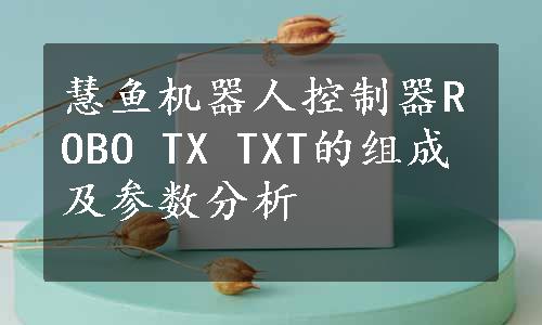 慧鱼机器人控制器ROBO TX TXT的组成及参数分析