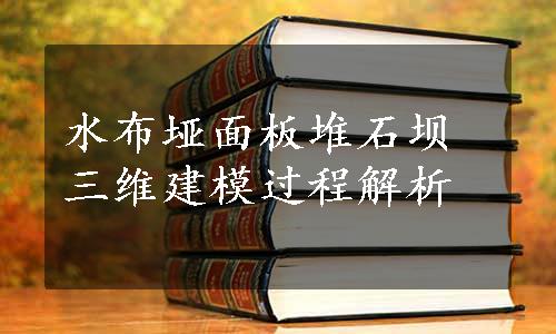 水布垭面板堆石坝三维建模过程解析