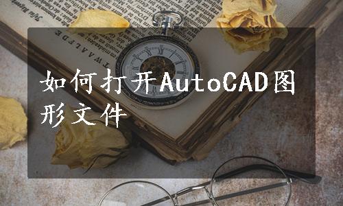 如何打开AutoCAD图形文件