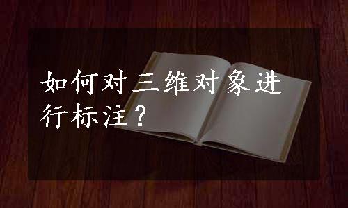 如何对三维对象进行标注？