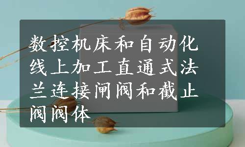 数控机床和自动化线上加工直通式法兰连接闸阀和截止阀阀体