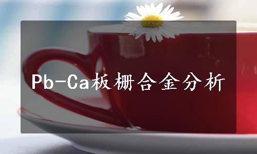 Pb-Ca板栅合金分析