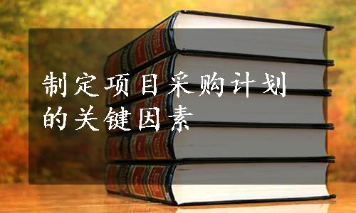 制定项目采购计划的关键因素