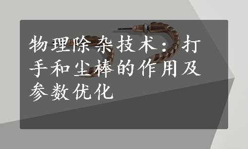 物理除杂技术：打手和尘棒的作用及参数优化