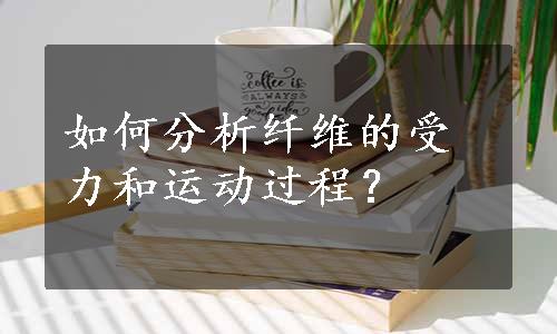 如何分析纤维的受力和运动过程？