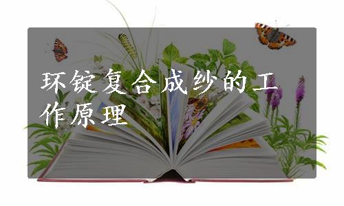 环锭复合成纱的工作原理