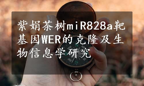 紫娟茶树miR828a靶基因WER的克隆及生物信息学研究