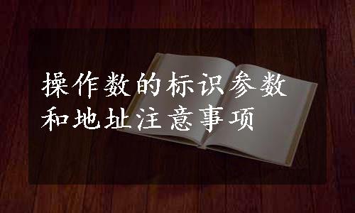 操作数的标识参数和地址注意事项