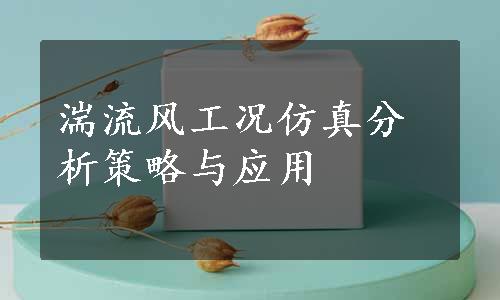 湍流风工况仿真分析策略与应用