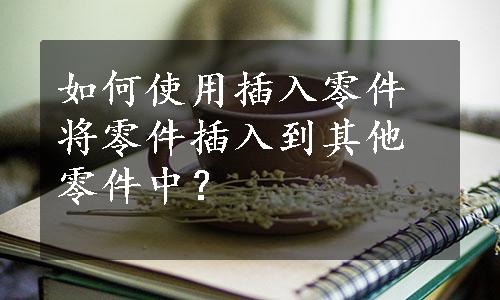 如何使用插入零件将零件插入到其他零件中？