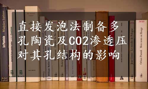 直接发泡法制备多孔陶瓷及CO2渗透压对其孔结构的影响