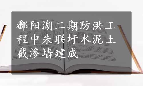 鄱阳湖二期防洪工程中朱联圩水泥土截渗墙建成