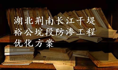 湖北荆南长江干堤裕公垸段防渗工程优化方案