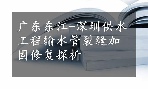 广东东江-深圳供水工程输水管裂缝加固修复探析