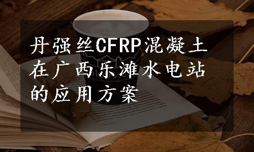 丹强丝CFRP混凝土在广西乐滩水电站的应用方案